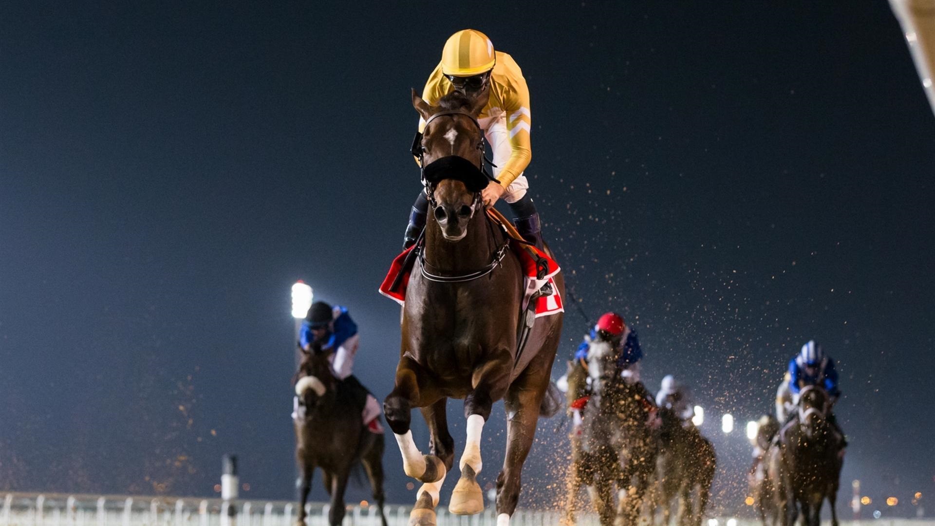 Horse racing action